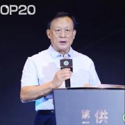 <b>沐鸣娱乐是什么_2020家装两会|东易</b>